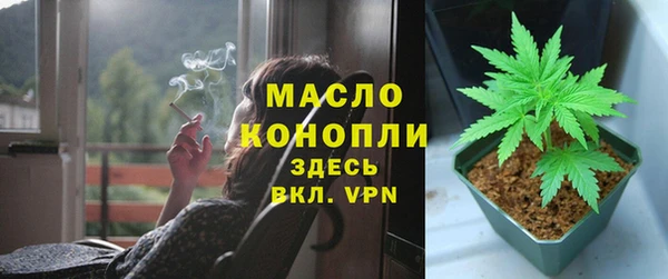 молекула духа Богданович