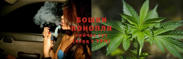 молекула духа Богданович