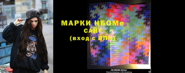 молекула духа Богданович