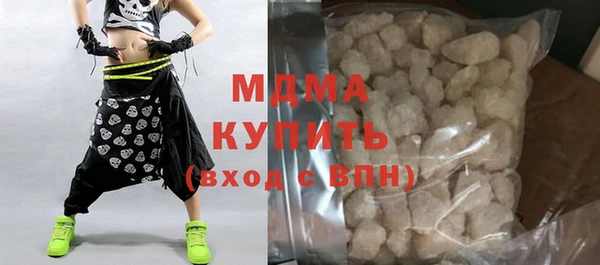 молекула духа Богданович