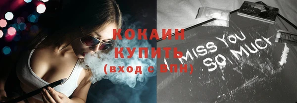 молекула духа Богданович