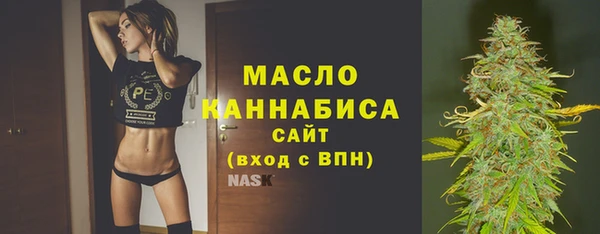 молекула духа Богданович