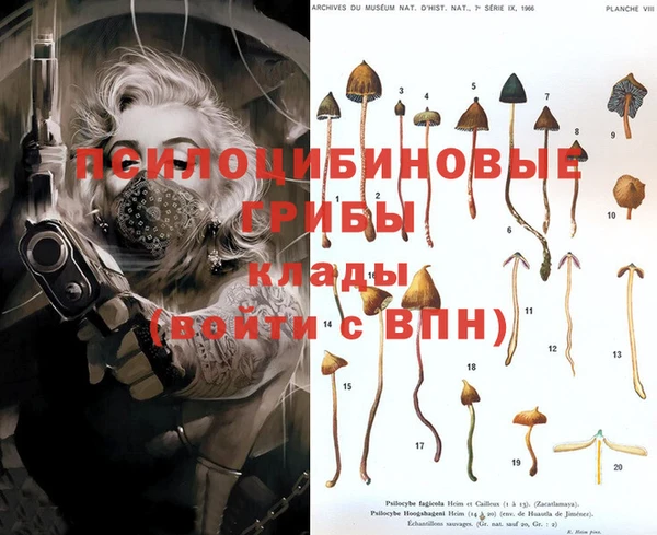 мет Бронницы