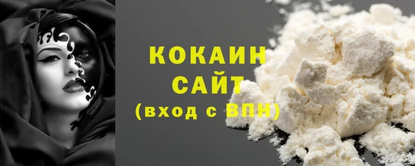 крисы Бородино