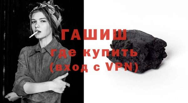 молекула духа Богданович