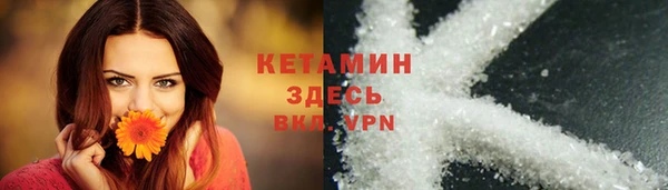молекула духа Богданович