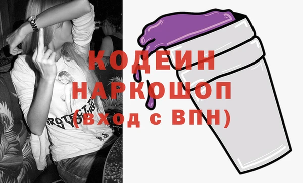 молекула духа Богданович