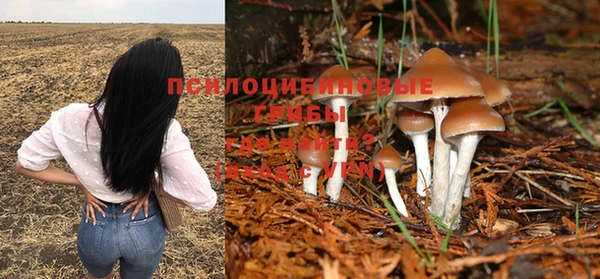 а пвп мука Богородицк
