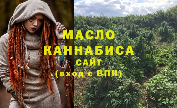 молекула духа Богданович